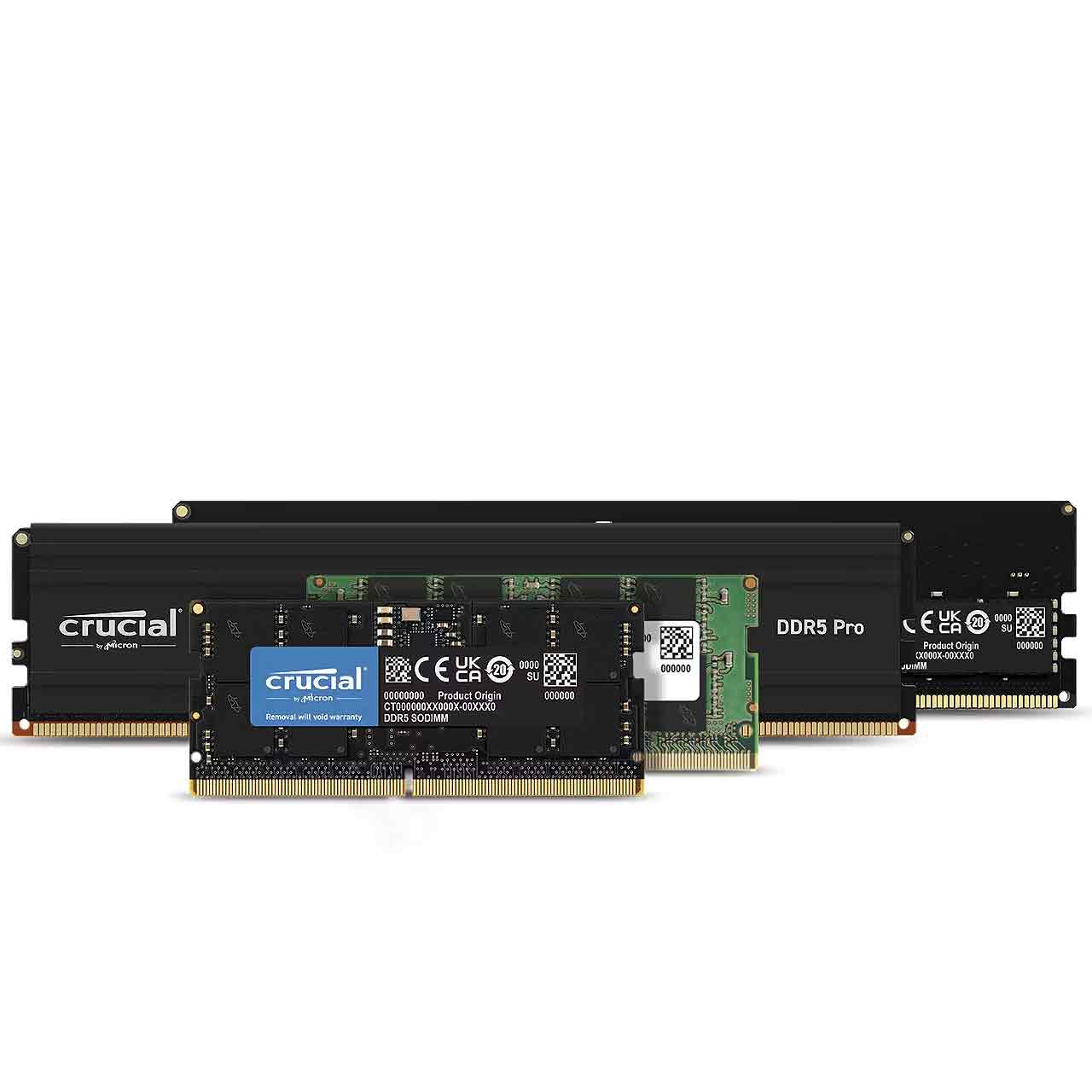 Random Access Memory (RAM)