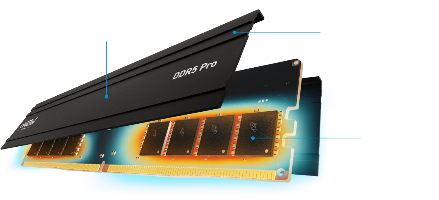 Crucial Pro RAM DDR5 5600Mhz UDIMM Unbuffered Desktop Memory 1.1v XMP EXPO Profiles