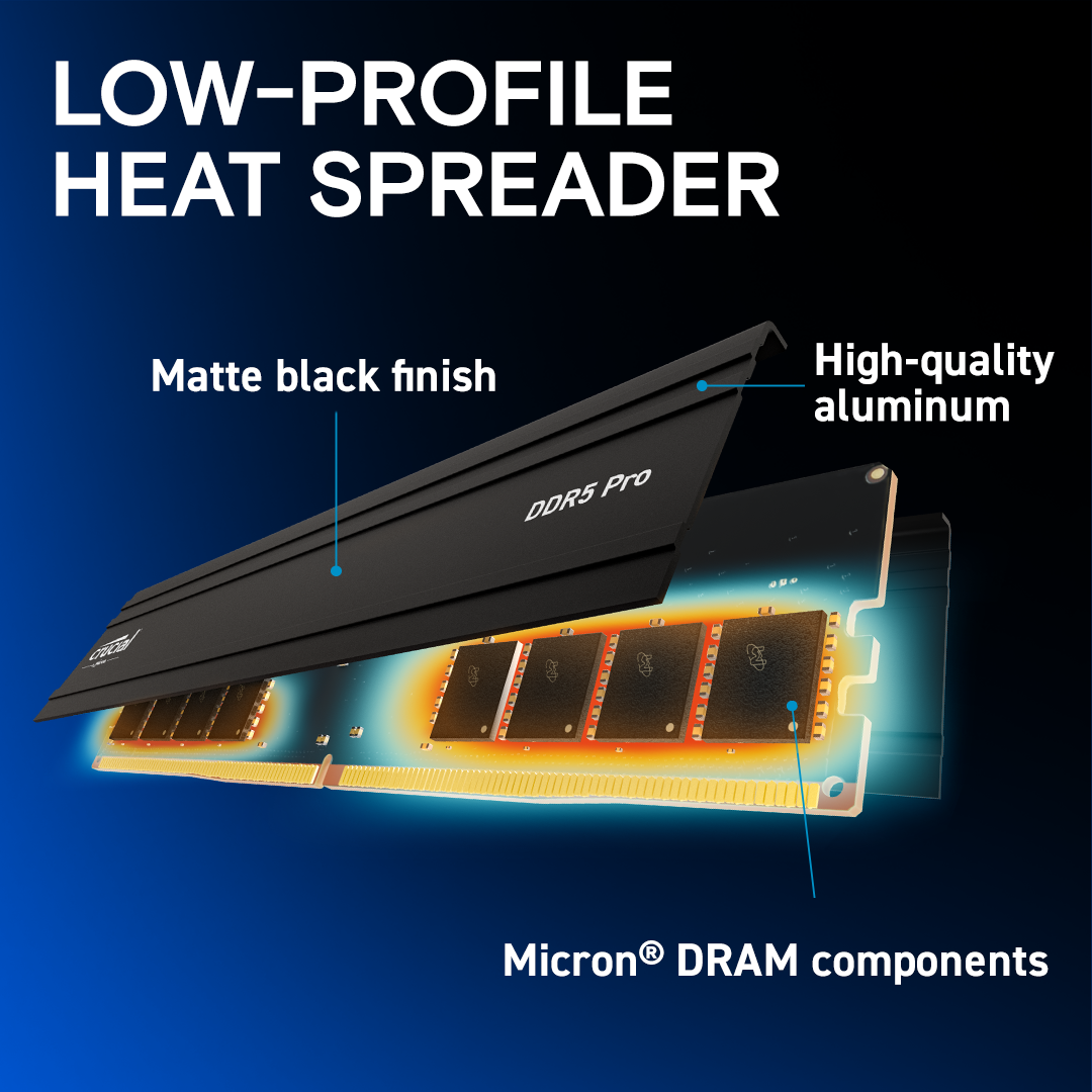 Crucial Pro RAM DDR5 5600Mhz UDIMM Unbuffered Desktop Memory 1.1v XMP EXPO Profiles