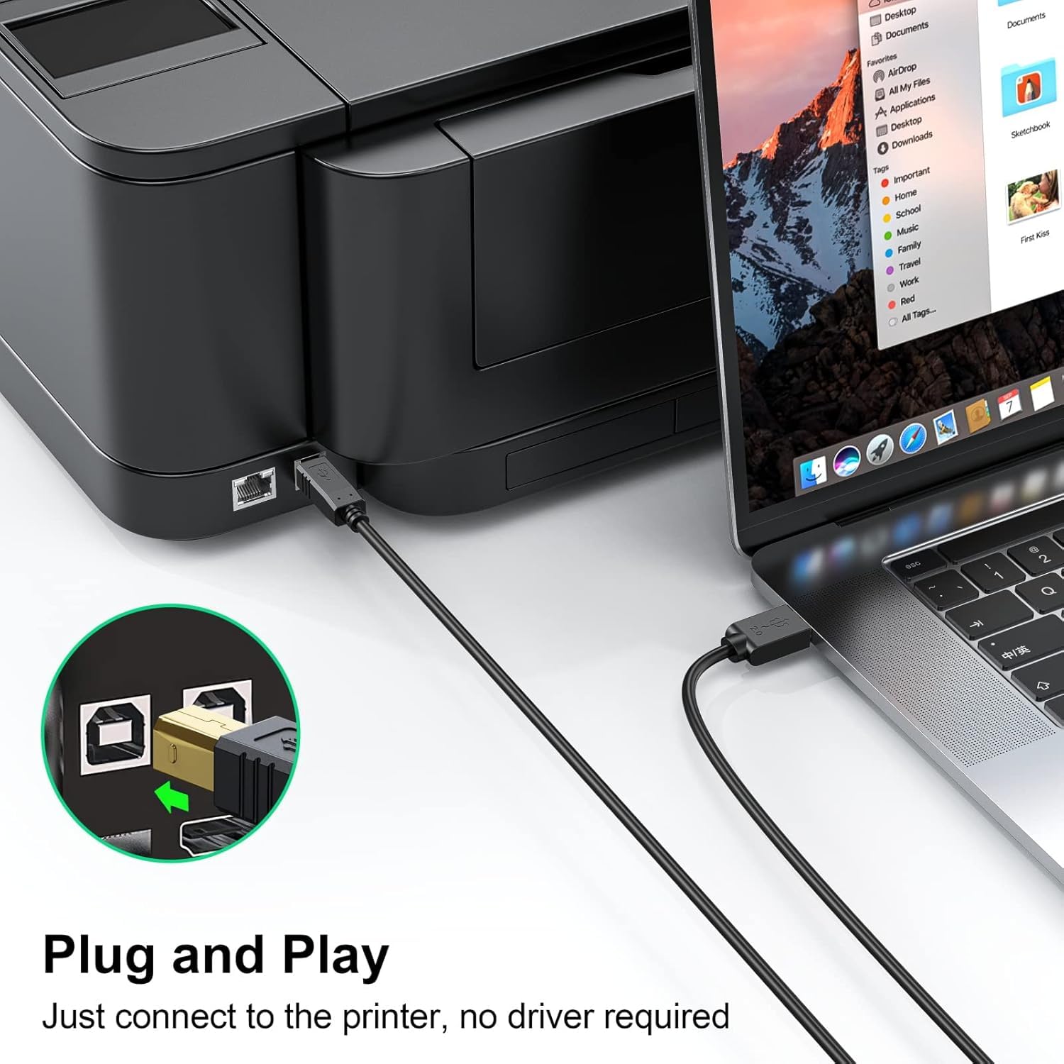 BOXNUBE Premium Gold-Plated High-Speed USB 2.0 Printer Cable | Shielded, Universal Compatibility for Printers, Scanners